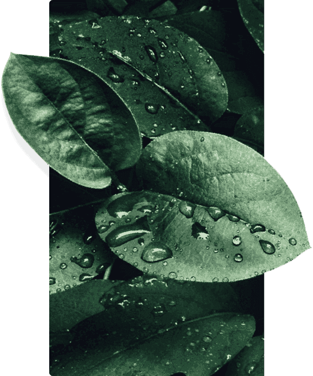保持聯(lián)系